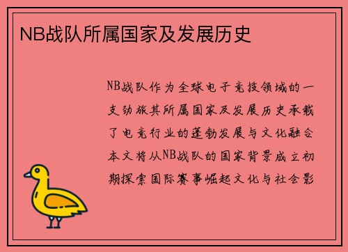 NB战队所属国家及发展历史