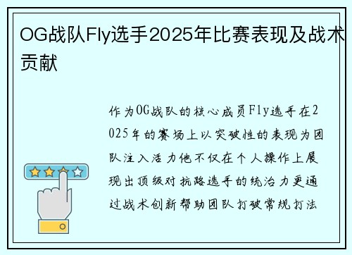 OG战队Fly选手2025年比赛表现及战术贡献